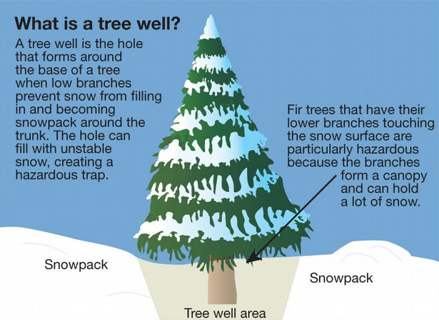 Tree Well Safety